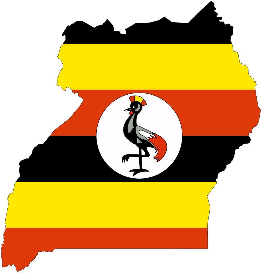 The Ugandan Daily Market