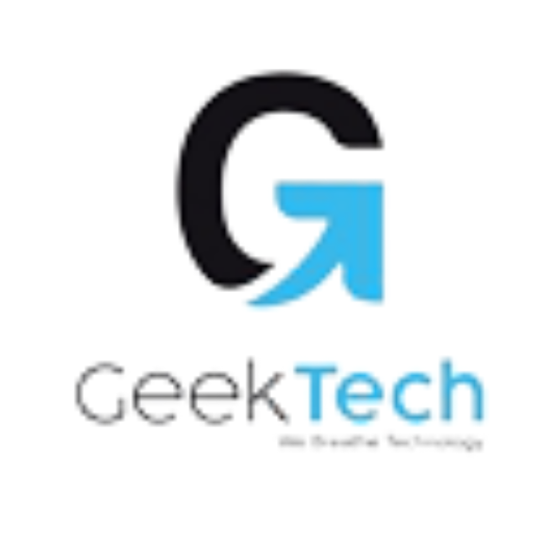 Geek Informatic Technologies Private Limited