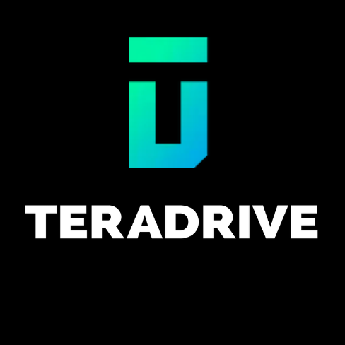 TeraDrive  Data Recovery