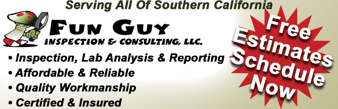 Fun Guy Inspection Consulting LLC